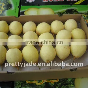 New Crop Fresh ya Pear thumbnail-1