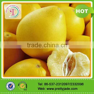 Chinese Honey Pomelo thumbnail-1