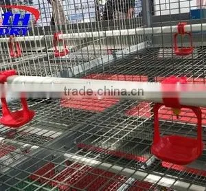 Best Quality Automatic Poultry Feeder and Drinker Poultry Farming Equipment for Sale in UAE thumbnail-1