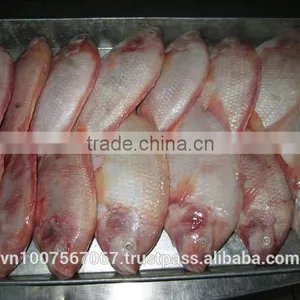 FROZEN RED TILAPIA thumbnail-2