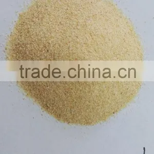 High Quality Bulk Garlic Powder for EU/USA Market With FDA/ISO/HACCP /KOSHER Approved thumbnail-2