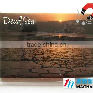 Dead Sea Tourist Fridge Magnet,french Souvenir,metal Magnets Souvenirs thumbnail-1