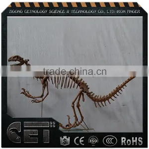 Hot Sale High Quality Dinosaur Skeleton Model Simulated Dinosaur Skeleton thumbnail-4