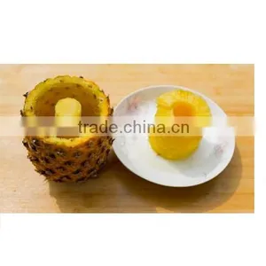 Very Popular Products of Pineapple Slicer thumbnail-4