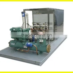 Newest Industrial Ice Plate Machine thumbnail-1