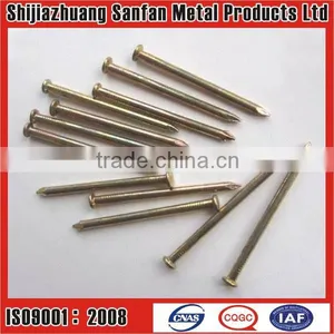Construction Concrete Nail thumbnail-1