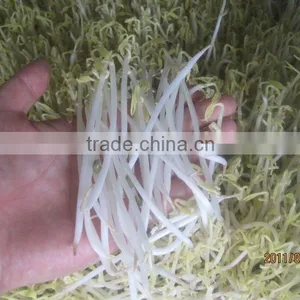 Hydroponic Fodder Machine thumbnail-2