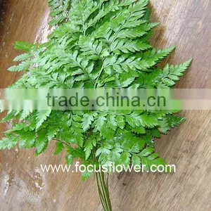Home Decor Fresh Leather Leaves Fern For Wedding Leather Process Plant Fern thumbnail-4