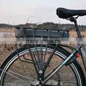 Mid Drive Motor Electric Bicycle With Front and Rear Roller Brake ,250w Central Motor Max System Bosch Shape thumbnail-3