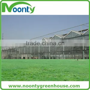 Commercial Glass Greenhouse thumbnail-6
