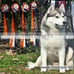 Rosette Award Ribbons thumbnail-1