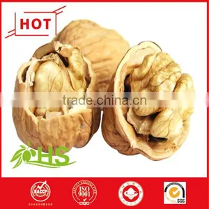 Hickory Nuts Kernel thumbnail-1