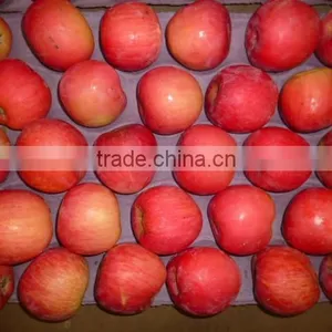 Fresh Apple,fuji Apple,apple thumbnail-4