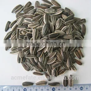 Sunflower Seeds 5135 22/64 thumbnail-1
