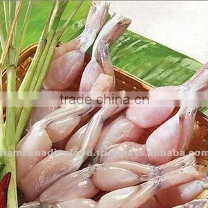 High Quality Skinless Frozen Frog Legs thumbnail-1