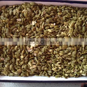 Shine Skin Pumpkin Seeds Kernel Grade A thumbnail-4
