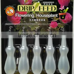 Drip Feed Flowering Houseplant thumbnail-1