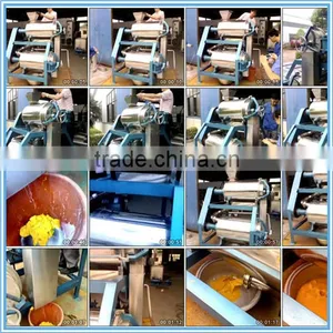 40 Years Factory Price Automatic Mango Pulping Machine thumbnail-5