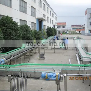 Filled Bottles Conveyor System thumbnail-2