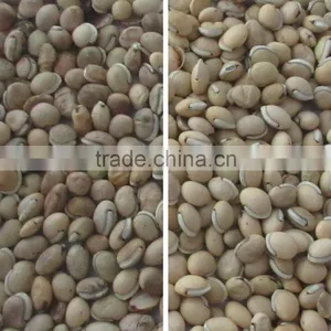 New Software CCD Beans Color Sorting Machine / Raisin Color Sorter / Rice Color Sorter With Factory Price thumbnail-5
