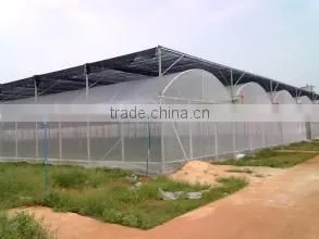 Cheap 30 x 100 Greenhouse thumbnail-3