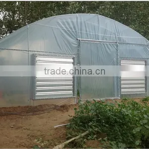 Africa Customber Design Greenhouse for Growing Vegetables thumbnail-1