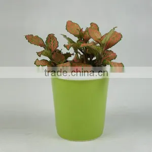 Indoor Small Colorful Ceramic Teacup Planter Pot for Succulent Plants thumbnail-3