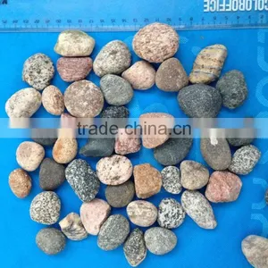Mixed Color Flat Pebble River Stone, Natural Pebble Stone thumbnail-1