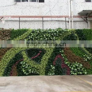 Fake Green Wall/artificial Green Wall Vertical Plant Wall thumbnail-1