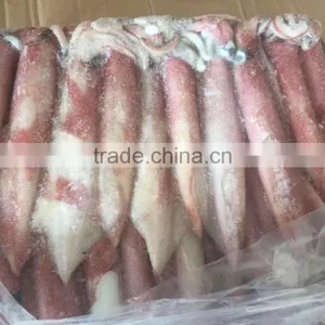 Sea Frozen Loligo Chinensis ,for Italy ,Greece et ,EU Market thumbnail-5