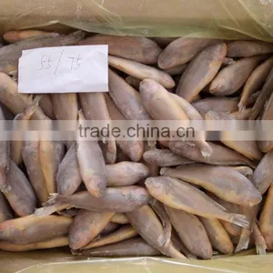 Frozen Yellow Croaker 40-100 thumbnail-3