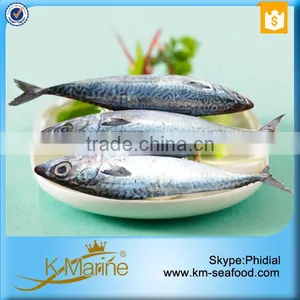 Wholesale Mackerel Frozen Foods thumbnail-4