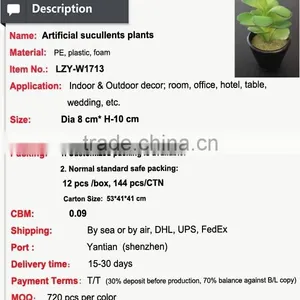 Potted Artificial Mini Succulents thumbnail-3