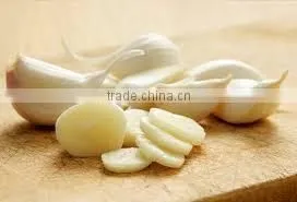Garlic Dry Extract thumbnail-1