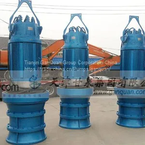 Axial Flow Pump (Submersible Propeller Pump) thumbnail-2