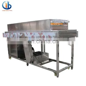 Potato or Apple Vegetable and Fruit Washing Machines,/ Ozone Fruit and Vegetable Washer thumbnail-6