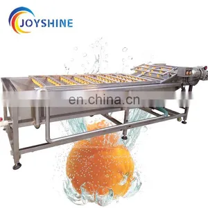Industrial Automatic 100kg 500kg Vegetable Fruit Washing Machine thumbnail-1