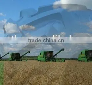 Bias Agricultural Tire 28L-26 thumbnail-1