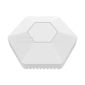 BLE & LoRaWAN Sensor thumbnail-2