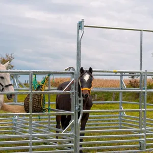 Horse Fence Panels Circular Tube Livestock Cattle Panels Horse Corral Panels Easily Assembled Sheep and Goat Farm thumbnail-6