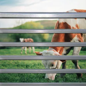 Galvanized Heavy-duty Livestock Cattle Corral Panels Cattle Yard Panels Australia Farm Equipment thumbnail-1
