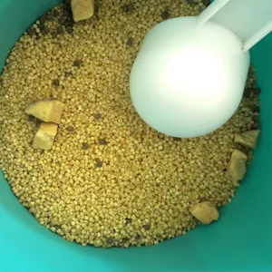 Bird Food Nutritious Egg Yolk Rice thumbnail-4