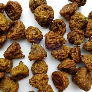 Industrial Fruit Washing and Drying Machine Dryer for Persimmon Resin Dryer Macadamia Nuts Cashew Nut Drying Oven Machine EPC thumbnail-4