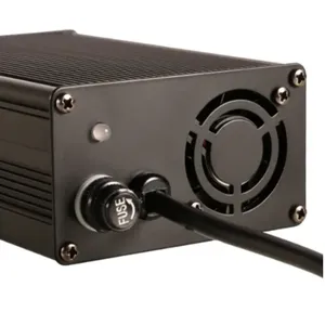 12V LiFePO4 charger