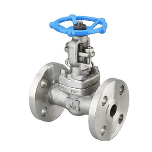 High Quality Factory Direct Sales Forged Steel Flange Gate Valve thumbnail-2