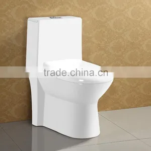 Floor Standing Good Reputation Ceramic Watermark Toilet thumbnail-4