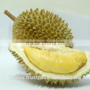 Fresh Musang King Durian thumbnail-1
