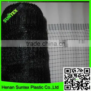 Supply Vineyard Anti Bird Net/bird Capture Nets With Low Price thumbnail-2