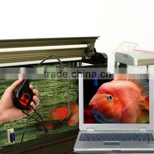 USB HD Inspection Camera Borescope 6 LED Endoscope Video Waterproof Tape Style thumbnail-5