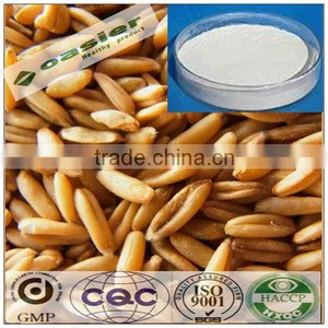 Natural Hot Sale Manufacturer Supply Oats Seed Extract thumbnail-1